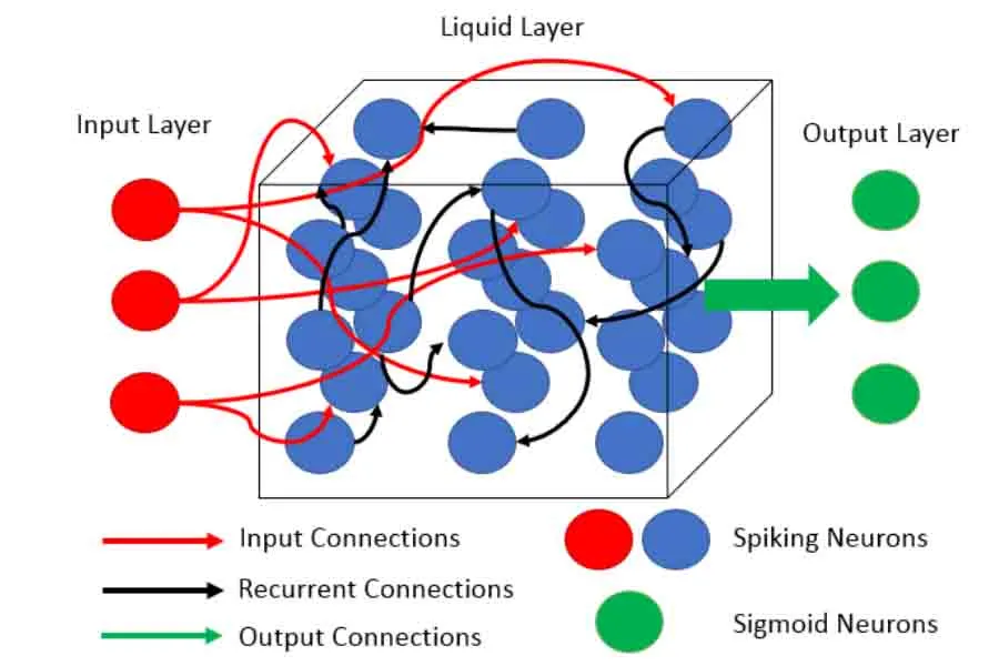 A example of a Liquid Neural Network